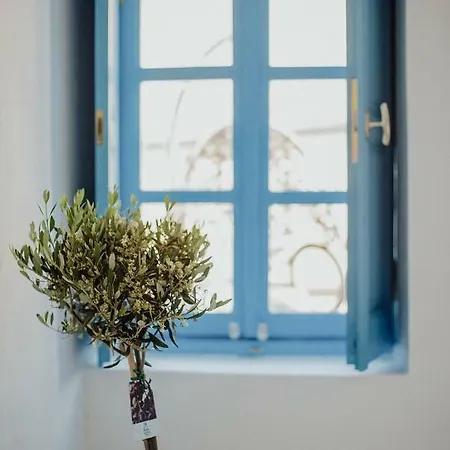 Tatil Evi Pueblo Viejo Kamári