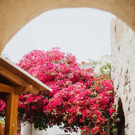Pueblo Viejo